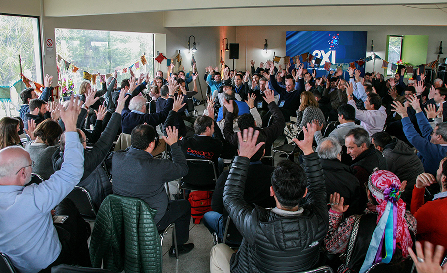 Araucania 3xi